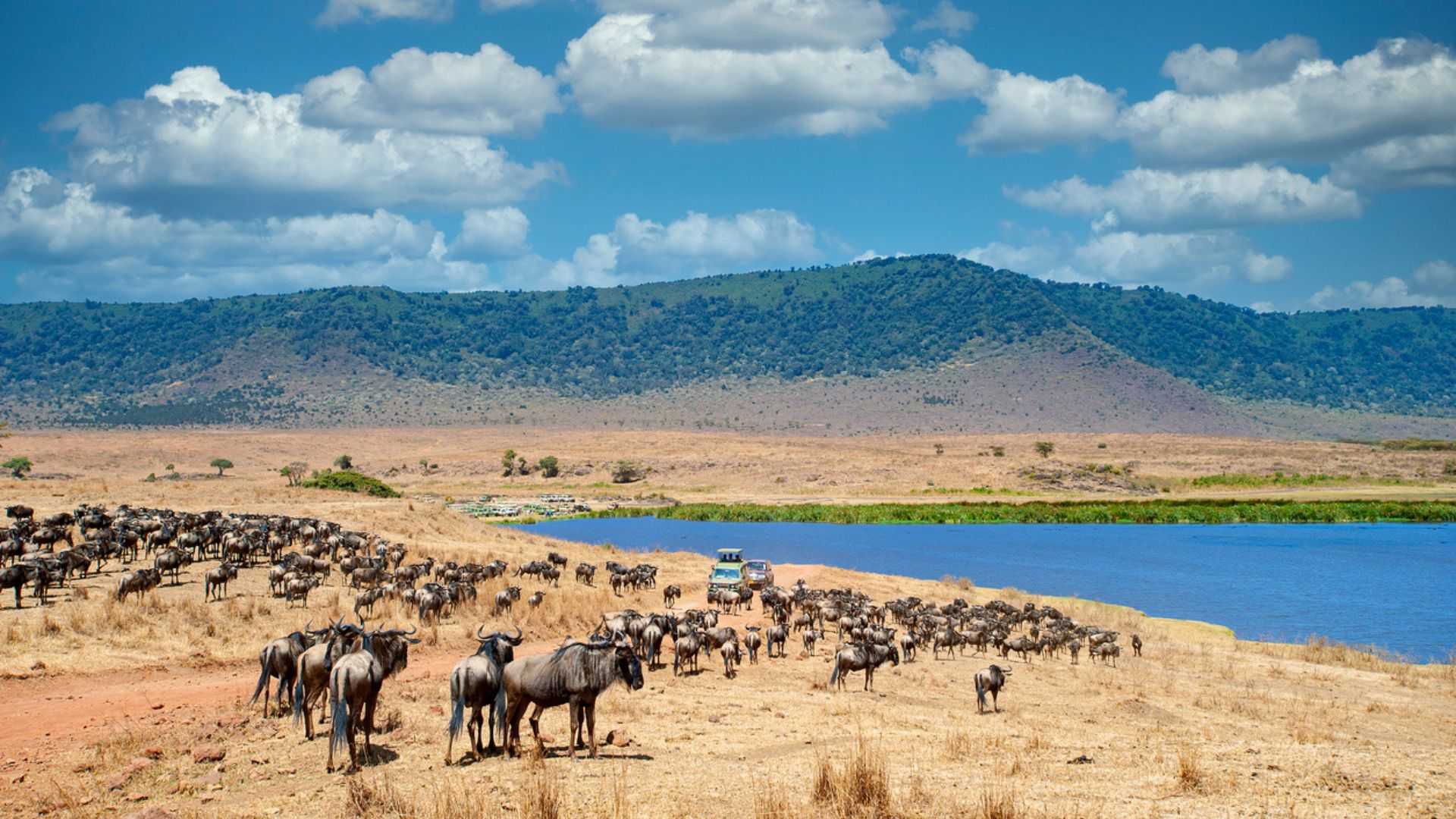 2 Day Tanzania Safari to Tarangire and Ngorongoro Conservation Area
