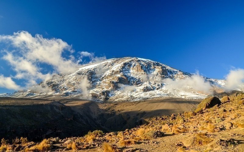 9 Day Kilimanjaro Trekking Northern Circuit 