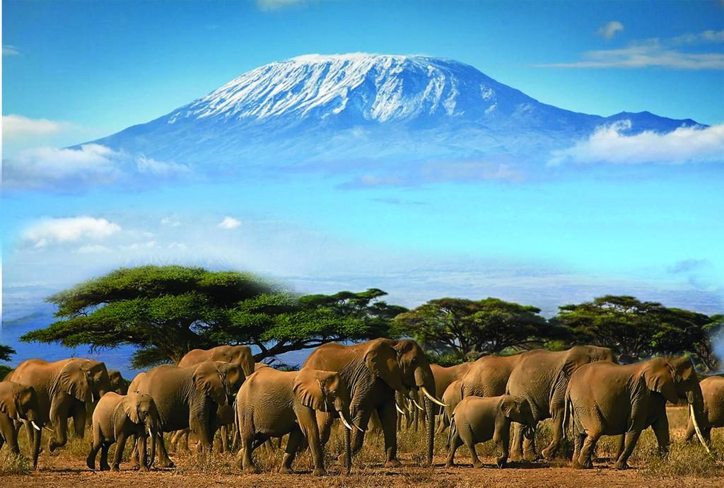 Amboseli National Park: Elephants Under Kilimanjaro