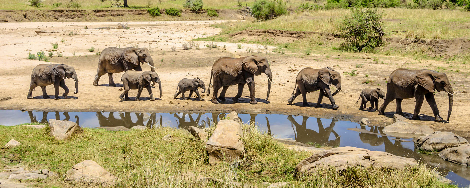 Day Trip Tarangire National Park