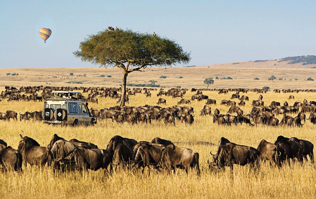 Kenya & Tanzania Combined Safari: The Ultimate East Africa Itinerary