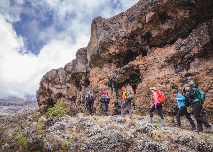 Lemosho Route Kilimanjaro: The Best Route for Summit Success