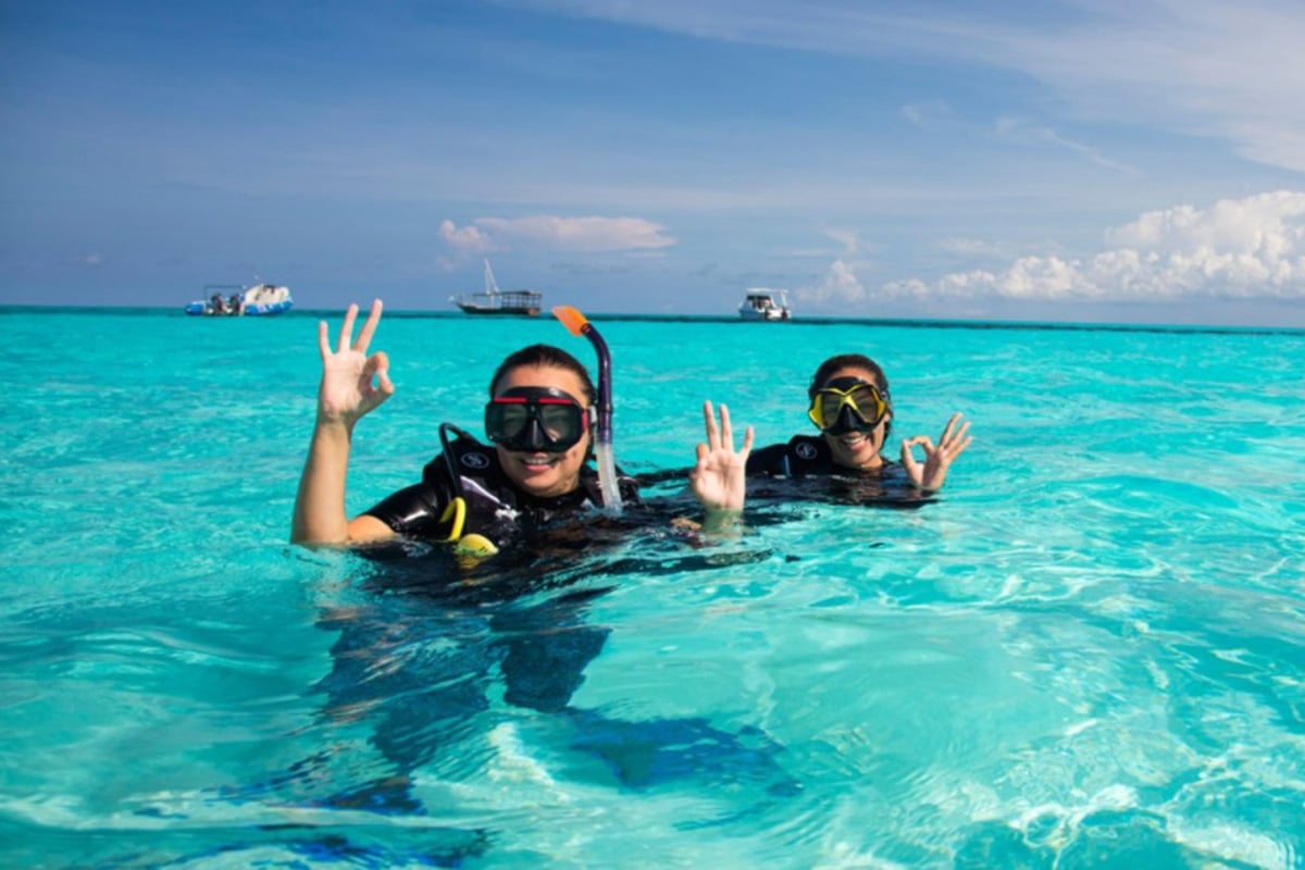 Snorkelling & Diving in Zanzibar: A Complete Marine Guide