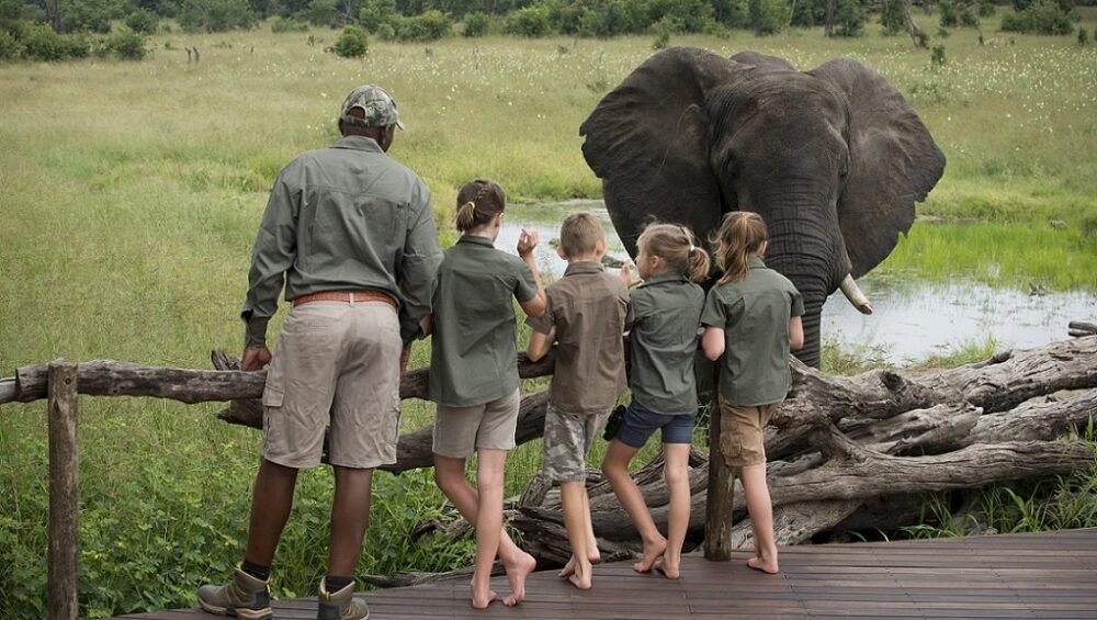 Tanzania Safari with Kids: The Complete Family Safari Guide
