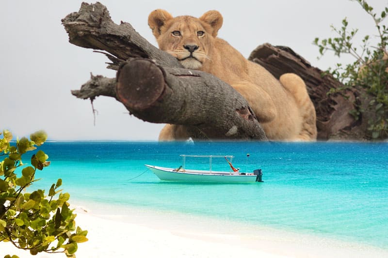 Tanzania Safari & Zanzibar: The Perfect Combined Holiday
